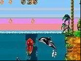 Shamu's Deep Sea Adventures
